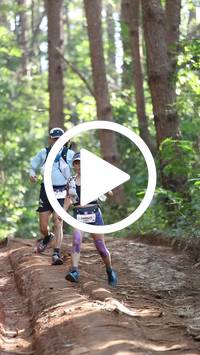 BIB:  <button type="button" onclick="openModal(26569649)" class="btn btn-primary btn-sm float-right" data-toggle="modal" data-target=".modal-high-quality">
                <i class="fa fa-download"></i> Download
                </button>